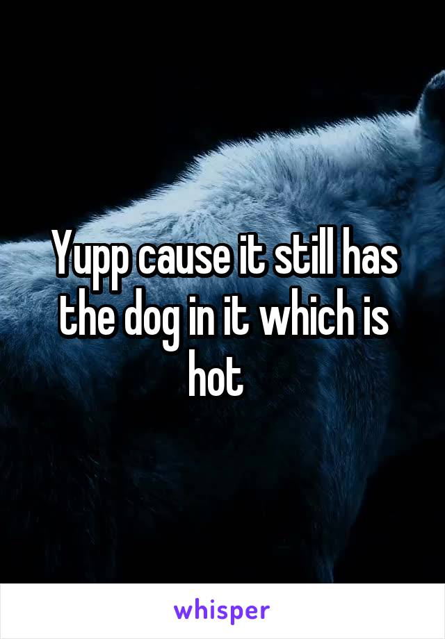 Yupp cause it still has the dog in it which is hot  