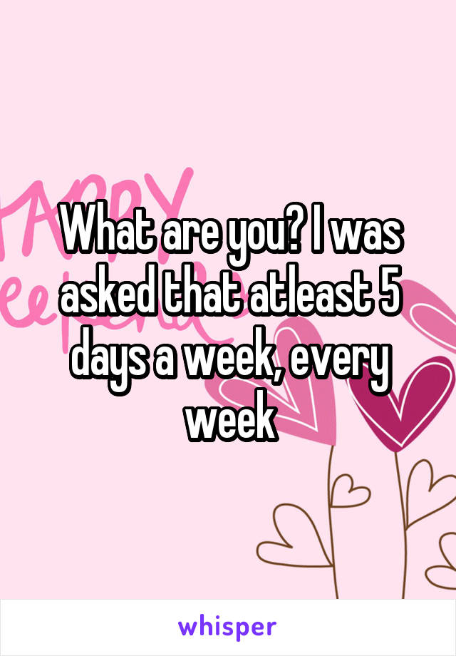 What are you? I was asked that atleast 5 days a week, every week