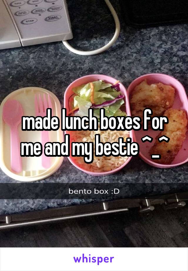 made lunch boxes for me and my bestie ^_^