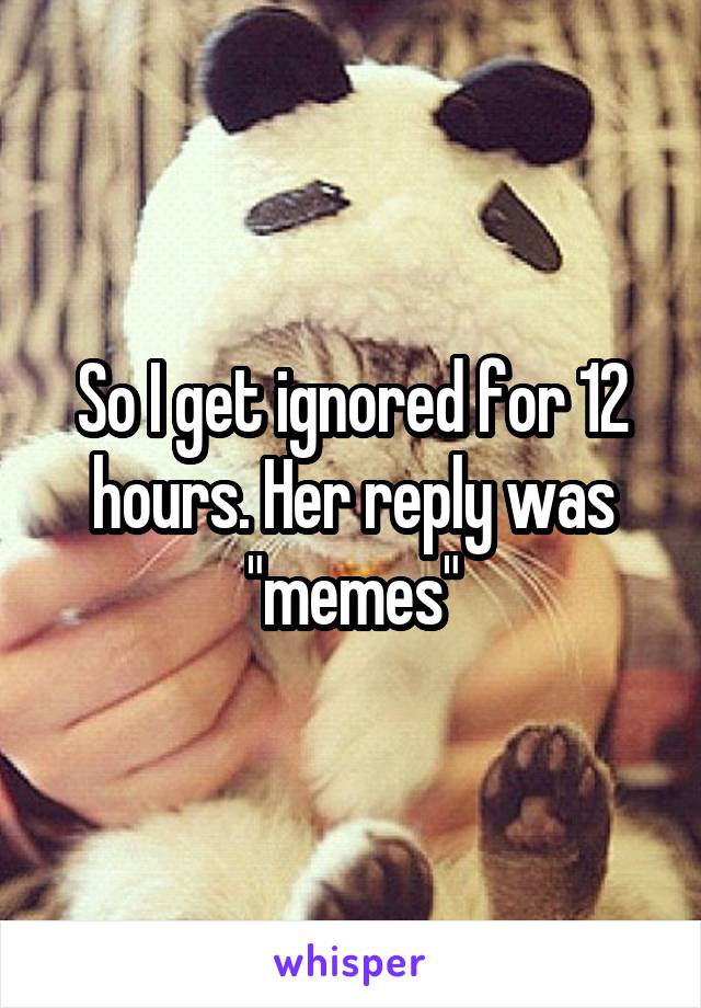 So I get ignored for 12 hours. Her reply was "memes"