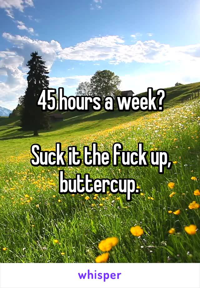 45 hours a week?

Suck it the fuck up, buttercup. 