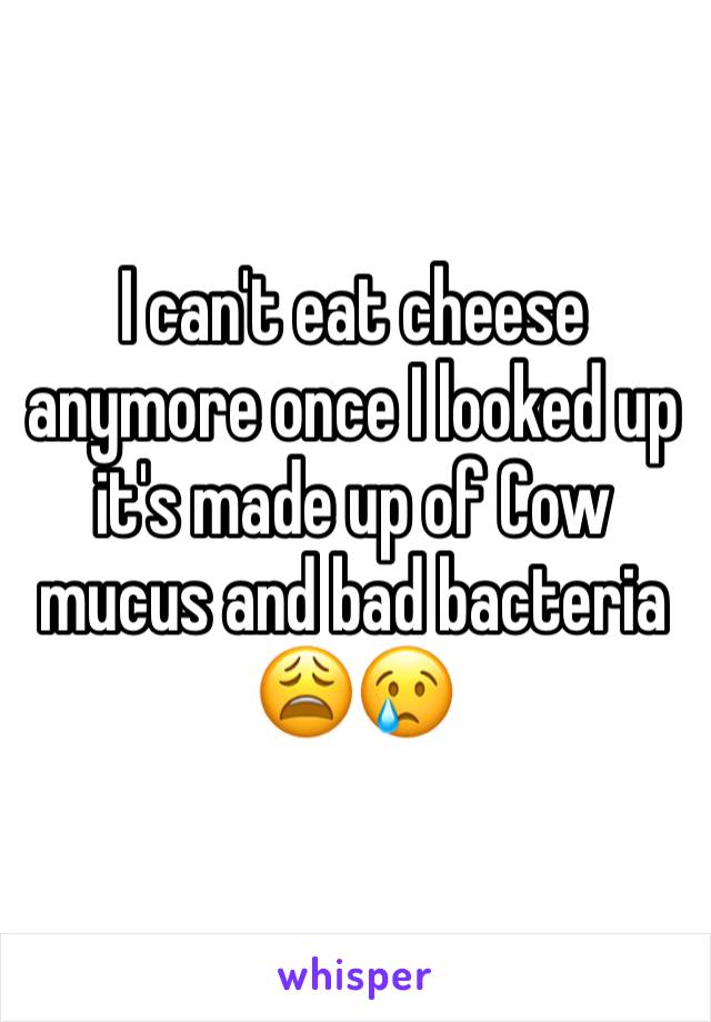 I can't eat cheese anymore once I looked up it's made up of Cow mucus and bad bacteria 😩😢