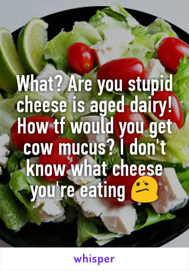 What? Are you stupid cheese is aged dairy! How tf would you get cow mucus? I don't know what cheese you're eating 😕