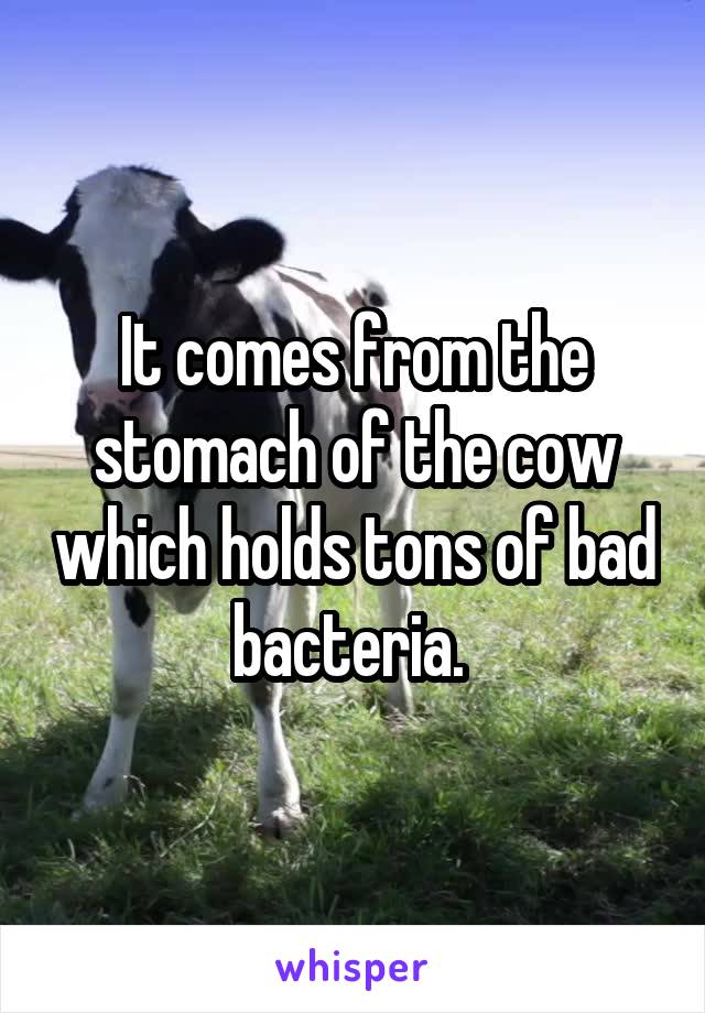 It comes from the stomach of the cow which holds tons of bad bacteria. 