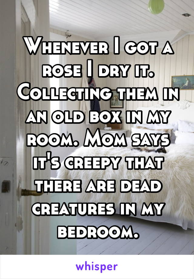 Whenever I got a rose I dry it. Collecting them in an old box in my room. Mom says it's creepy that there are dead creatures in my bedroom.