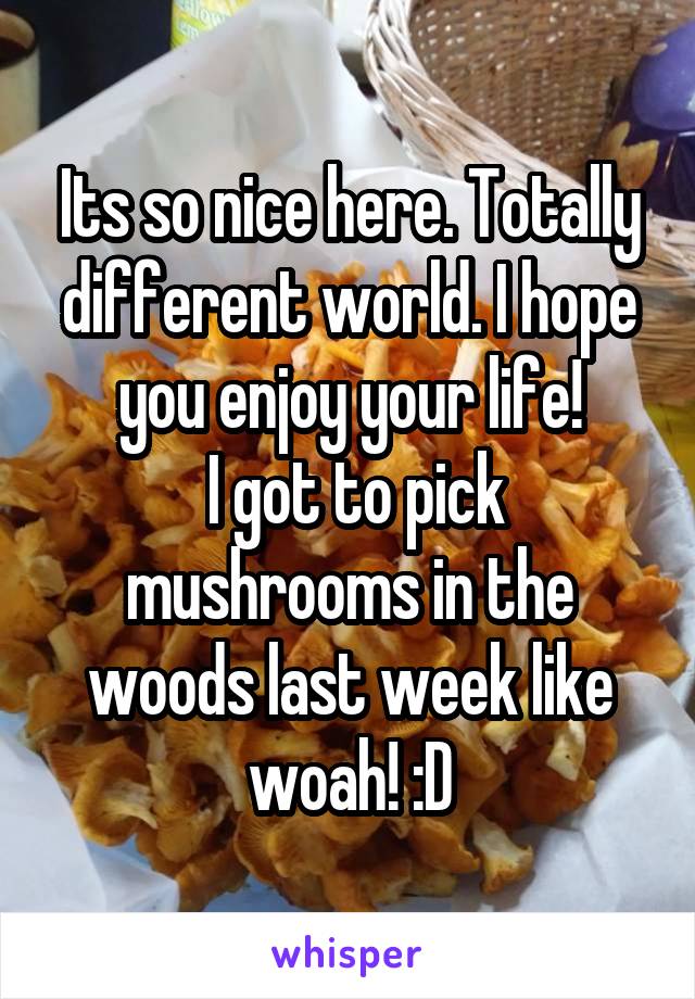 Its so nice here. Totally different world. I hope you enjoy your life!
 I got to pick mushrooms in the woods last week like woah! :D