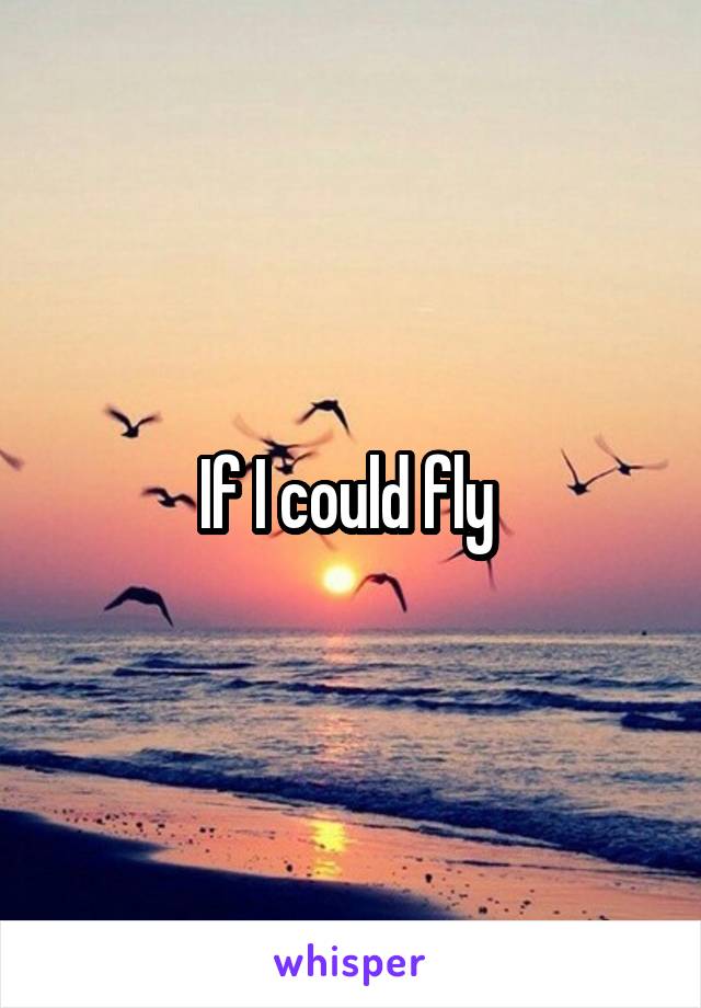 If I could fly 