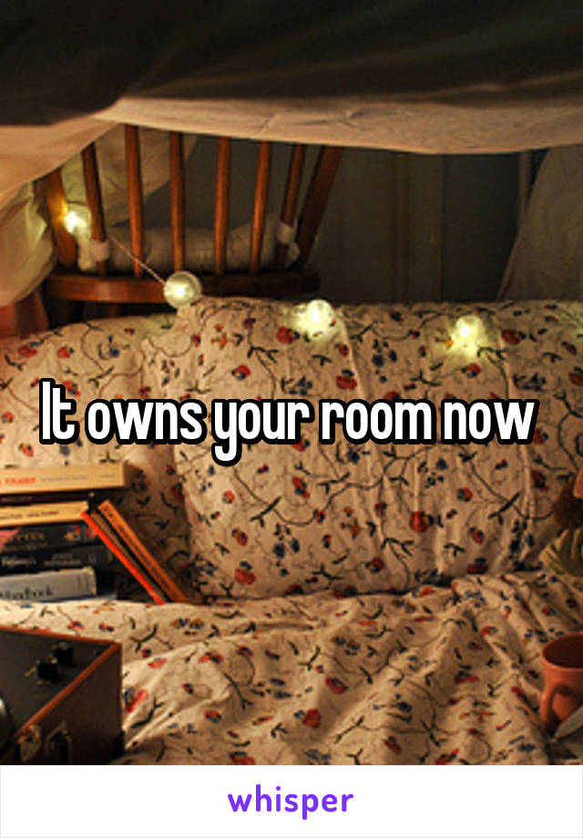 It owns your room now 