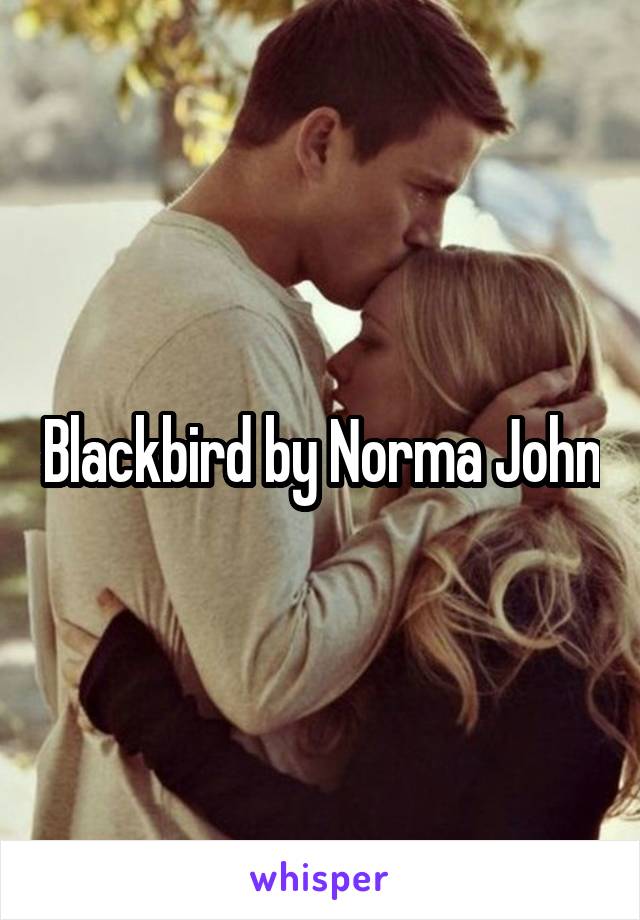 Blackbird by Norma John