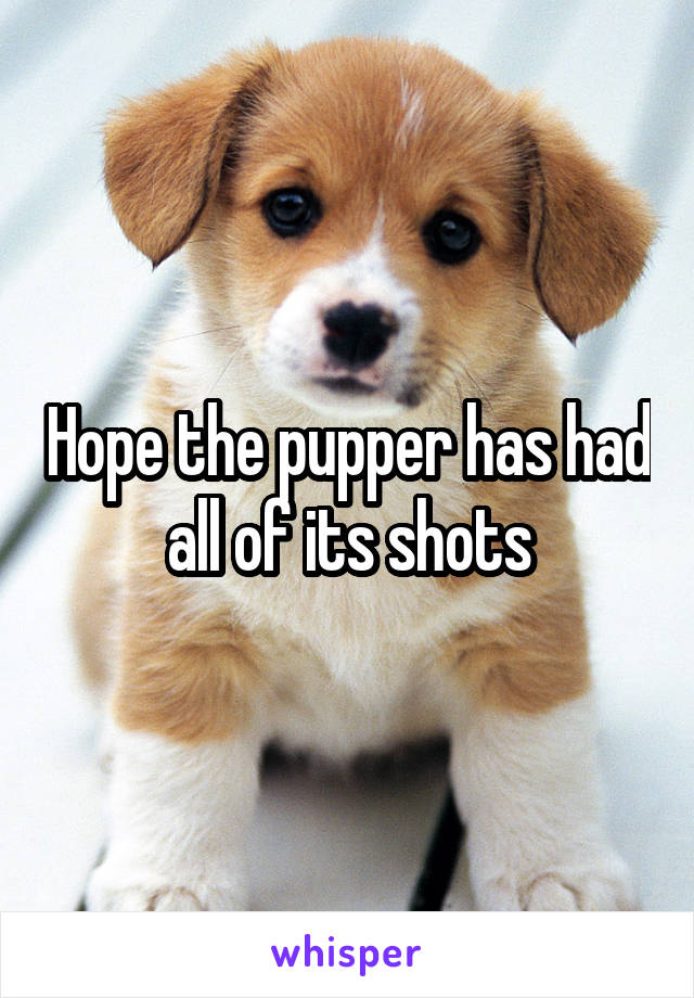 Hope the pupper has had all of its shots