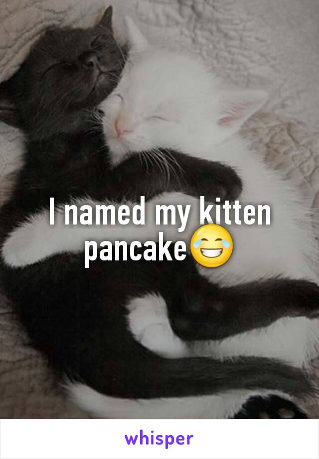 I named my kitten pancake😂