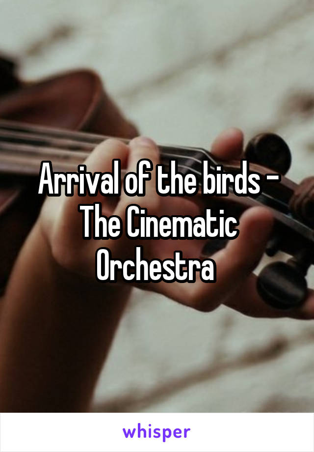 Arrival of the birds - The Cinematic Orchestra 