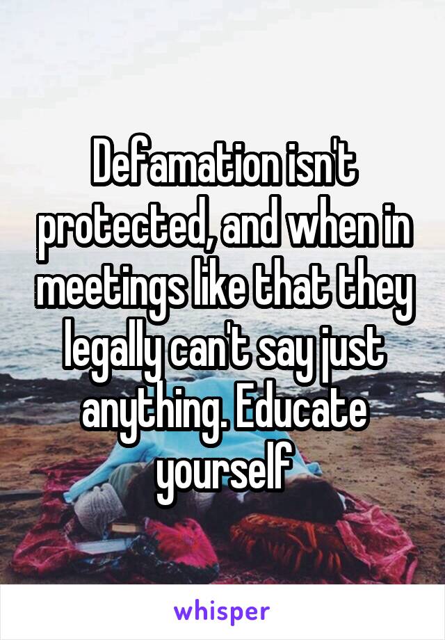 Defamation isn't protected, and when in meetings like that they legally can't say just anything. Educate yourself