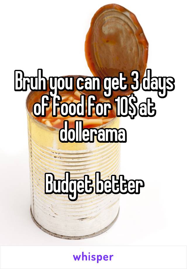 Bruh you can get 3 days of food for 10$ at dollerama 

Budget better