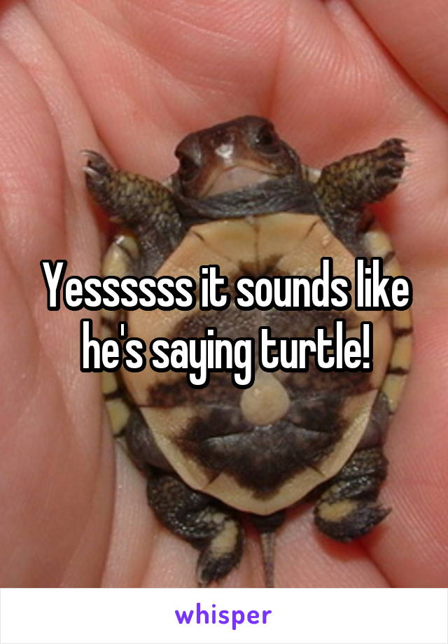 Yessssss it sounds like he's saying turtle!