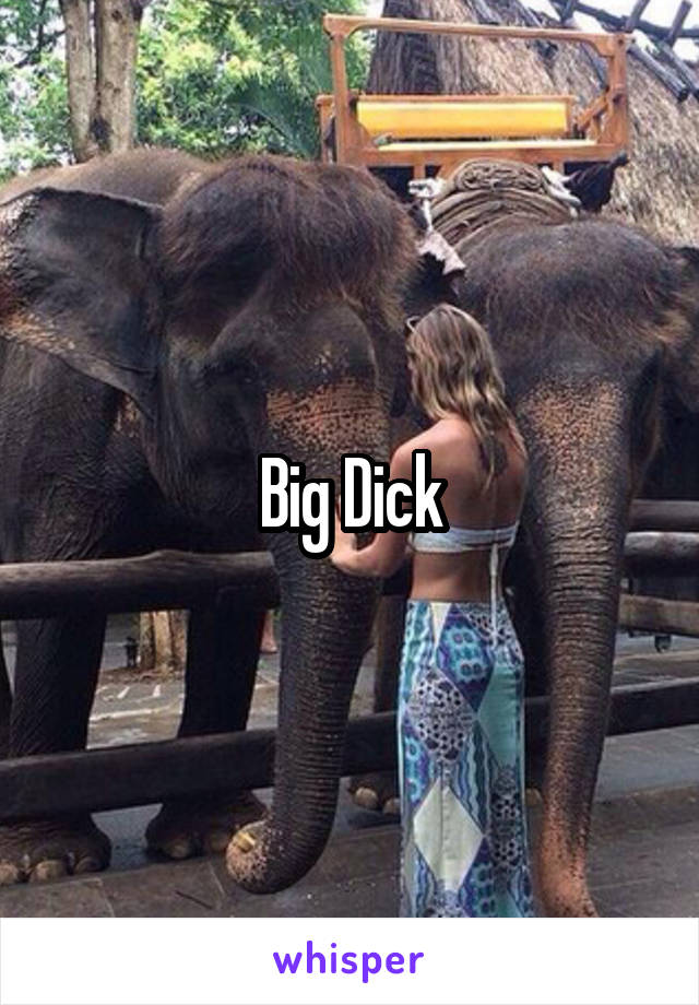 Big Dick