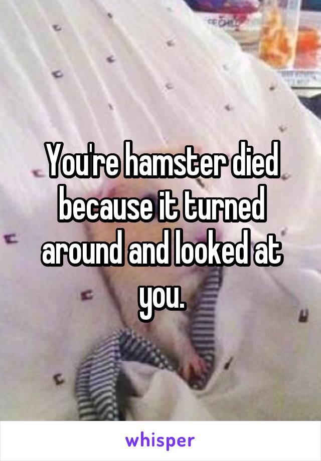 You're hamster died because it turned around and looked at you.