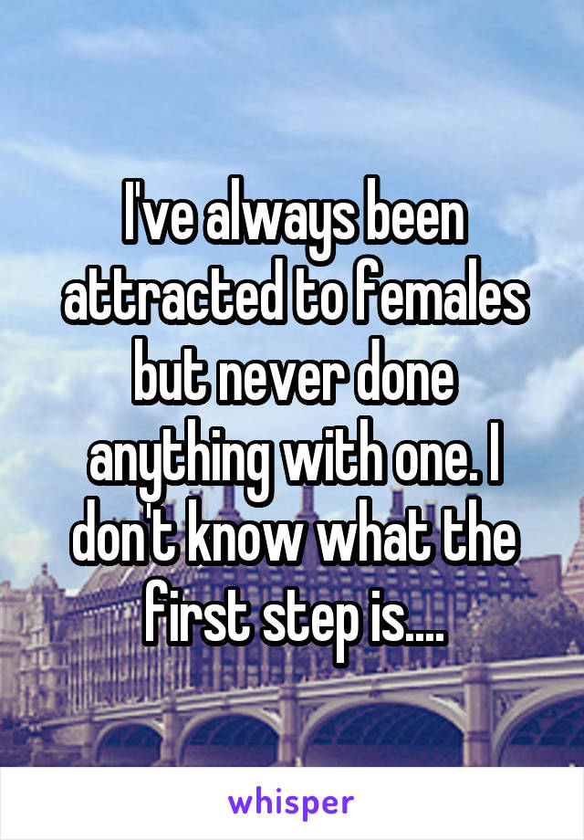 I've always been attracted to females but never done anything with one. I don't know what the first step is....