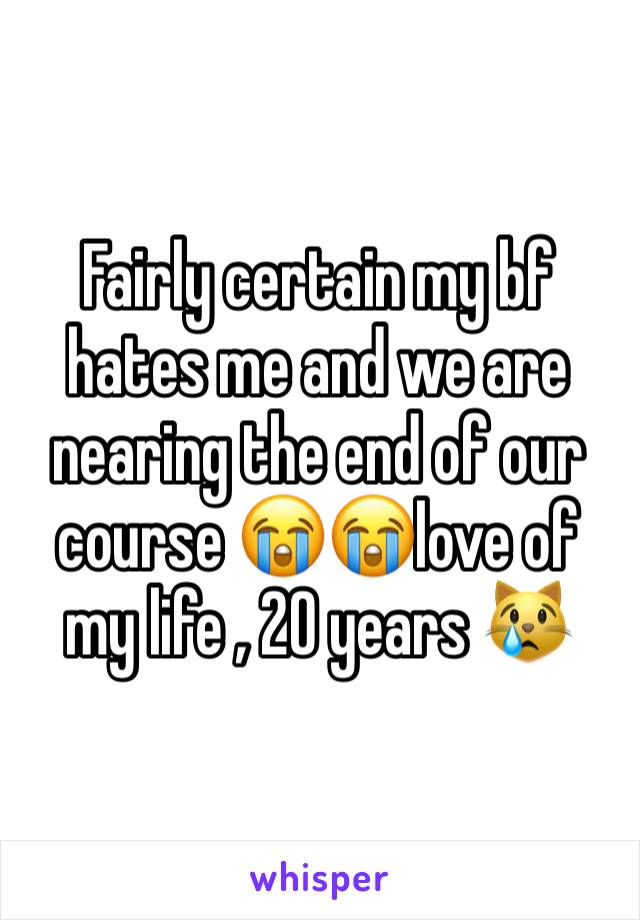 Fairly certain my bf hates me and we are nearing the end of our course 😭😭love of my life , 20 years 😿