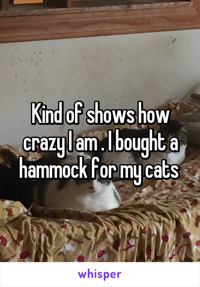 Kind of shows how crazy I am . I bought a hammock for my cats 