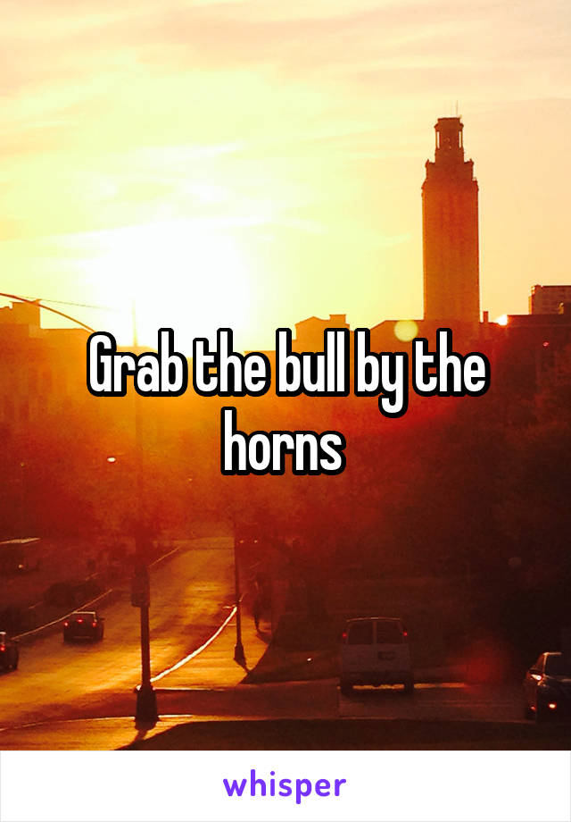 Grab the bull by the horns 