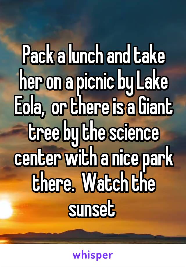 Pack a lunch and take her on a picnic by Lake Eola,  or there is a Giant tree by the science center with a nice park there.  Watch the sunset 