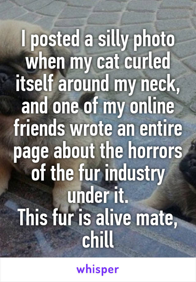 I posted a silly photo when my cat curled itself around my neck, and one of my online friends wrote an entire page about the horrors of the fur industry under it.
This fur is alive mate, chill