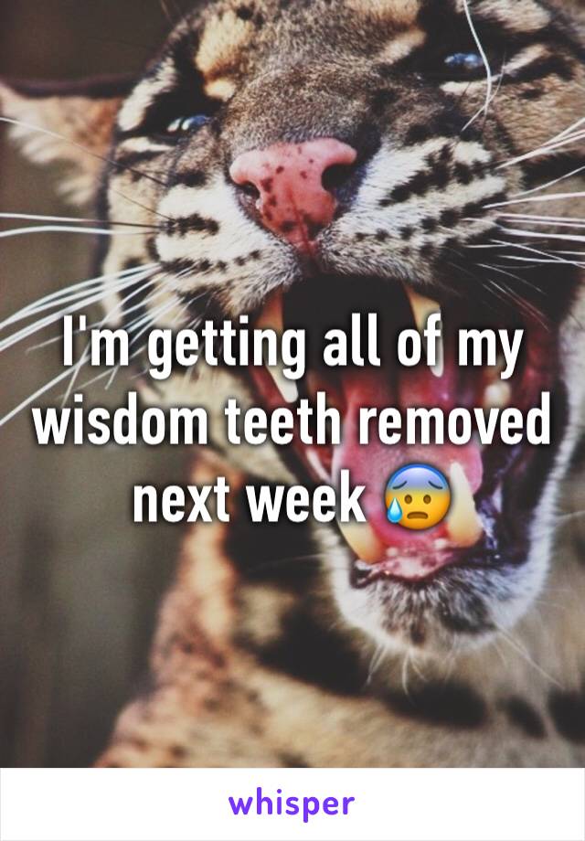 I'm getting all of my wisdom teeth removed next week 😰