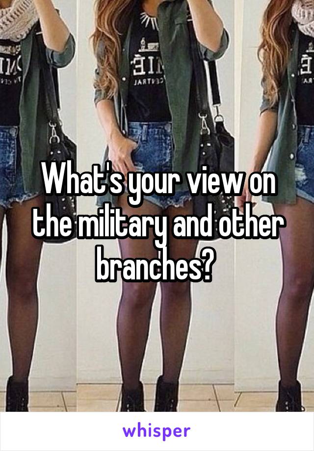 What's your view on the military and other branches? 