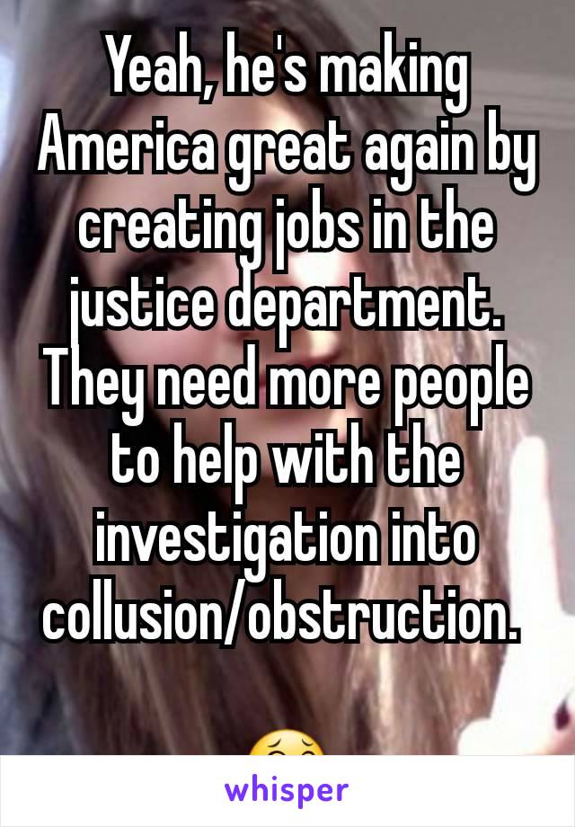 Yeah, he's making America great again by creating jobs in the justice department. They need more people to help with the investigation into collusion/obstruction. 

😂