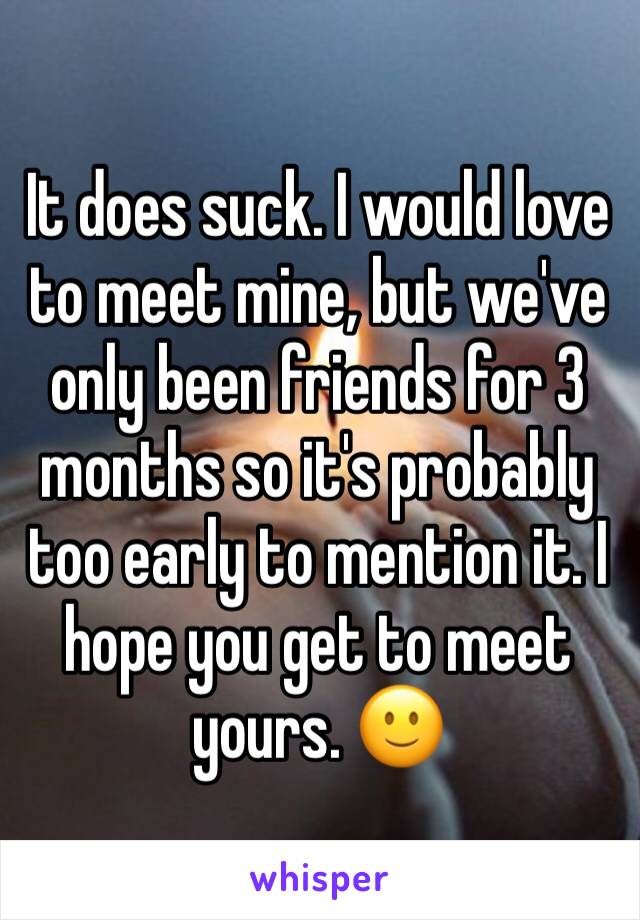 It does suck. I would love to meet mine, but we've only been friends for 3 months so it's probably too early to mention it. I hope you get to meet yours. 🙂