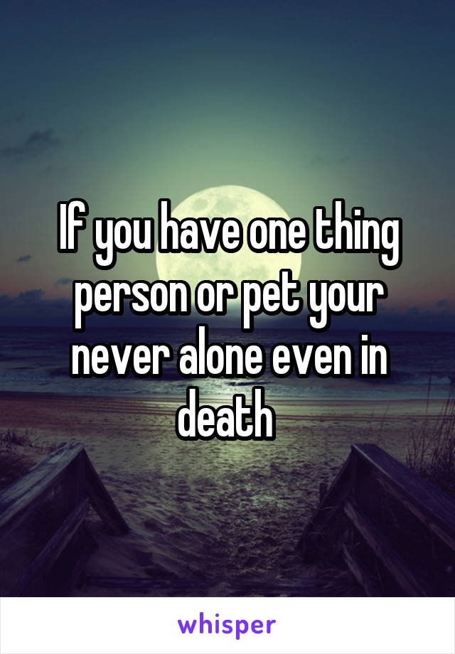 If you have one thing person or pet your never alone even in death 