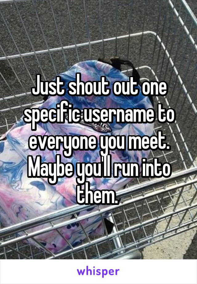 Just shout out one specific username to everyone you meet.
Maybe you'll run into them. 