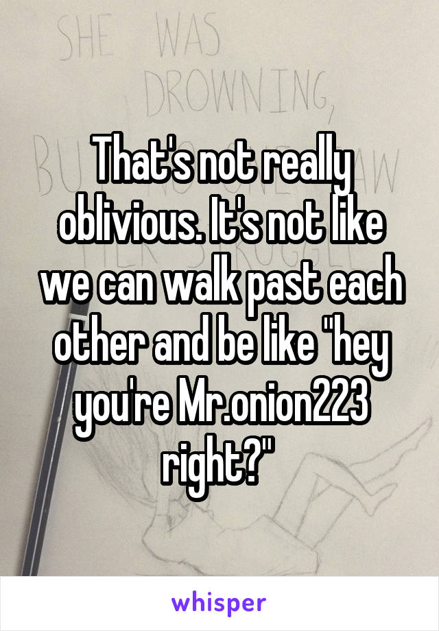 That's not really oblivious. It's not like we can walk past each other and be like "hey you're Mr.onion223 right?" 