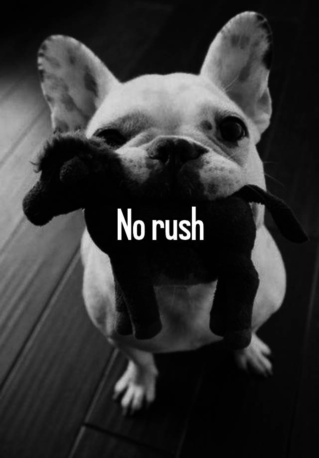 no-rush