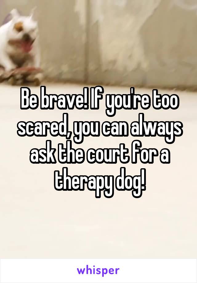 Be brave! If you're too scared, you can always ask the court for a therapy dog!