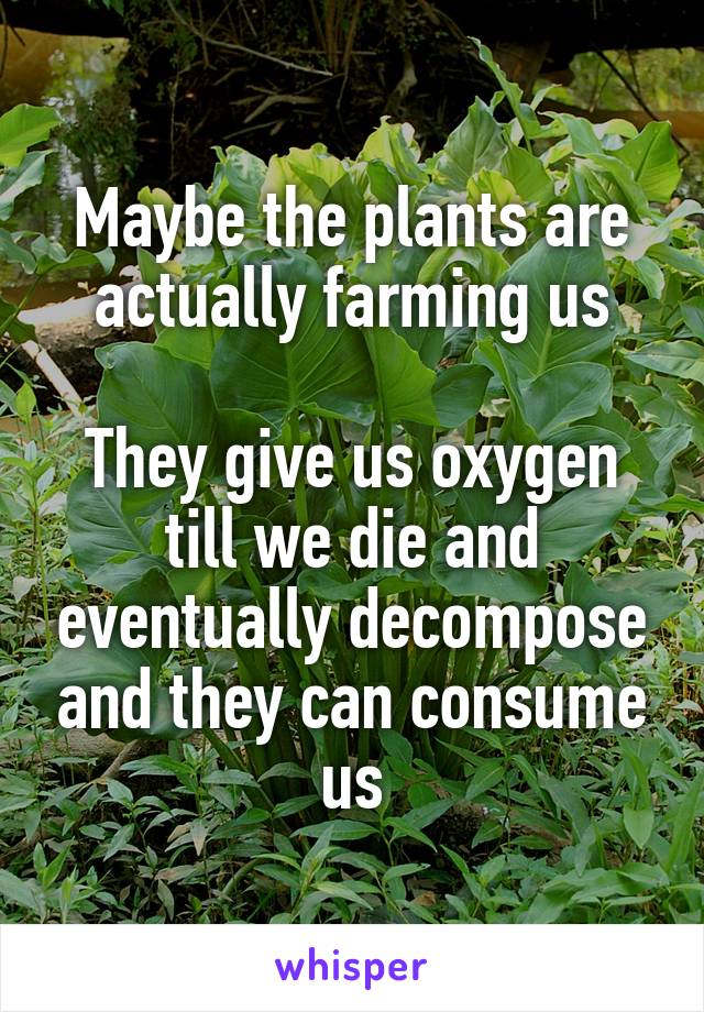 Maybe the plants are actually farming us

They give us oxygen till we die and eventually decompose and they can consume us