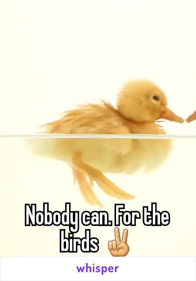 Nobody can. For the birds ✌