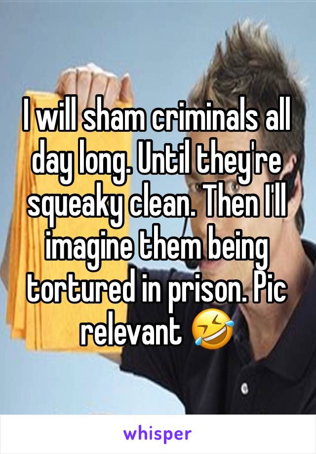 I will sham criminals all day long. Until they're squeaky clean. Then I'll imagine them being tortured in prison. Pic relevant 🤣