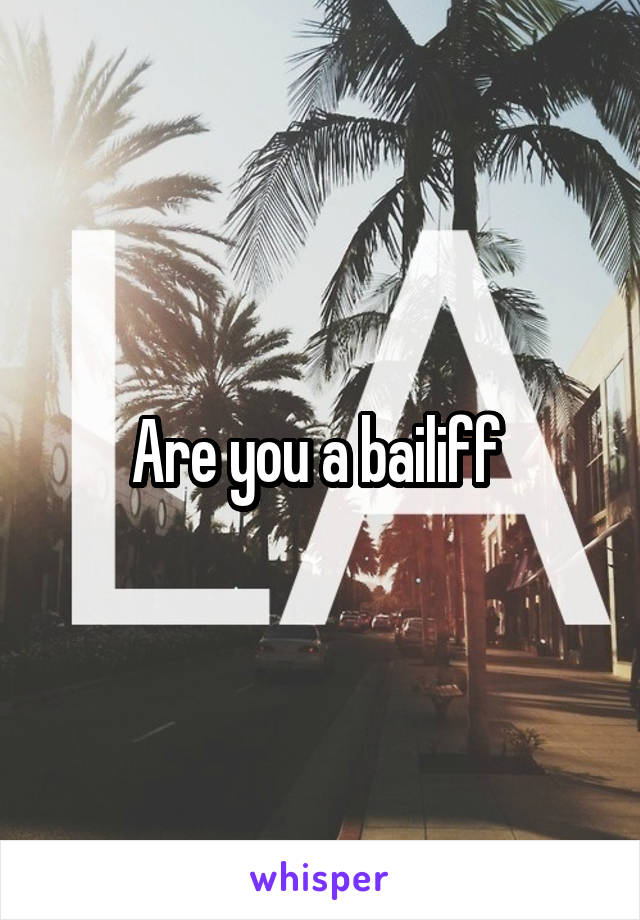 Are you a bailiff 