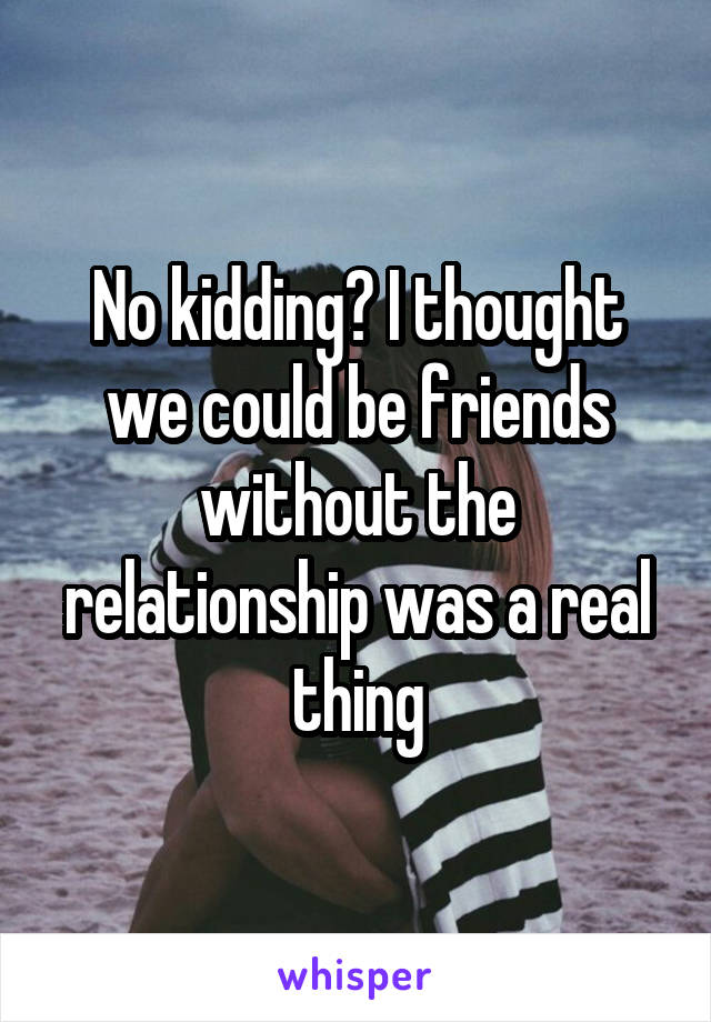 No kidding? I thought we could be friends without the relationship was a real thing