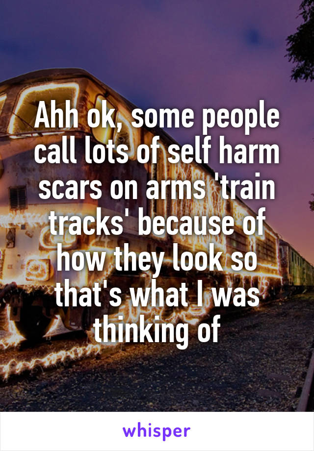 Ahh ok, some people call lots of self harm scars on arms 'train tracks' because of how they look so that's what I was thinking of