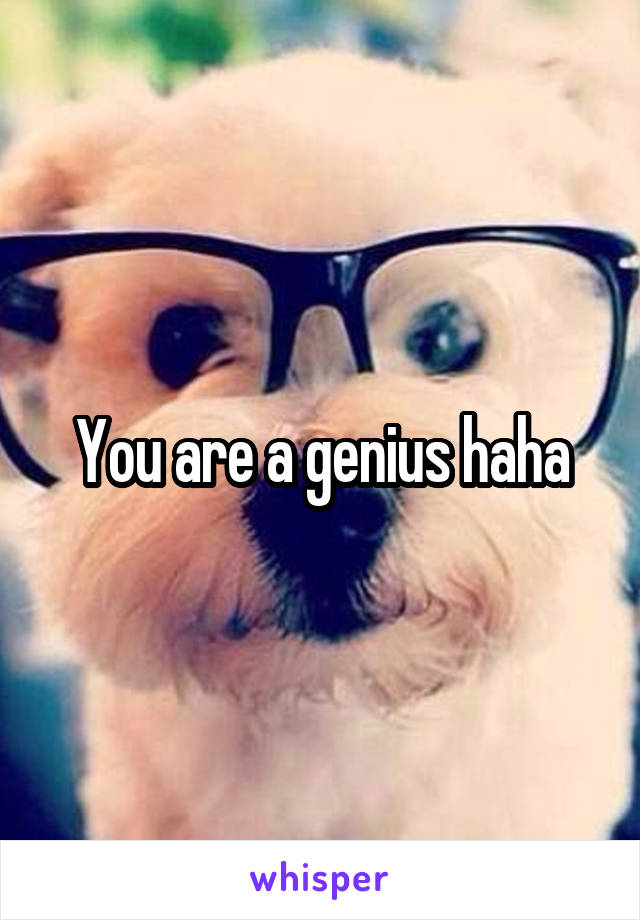 You are a genius haha