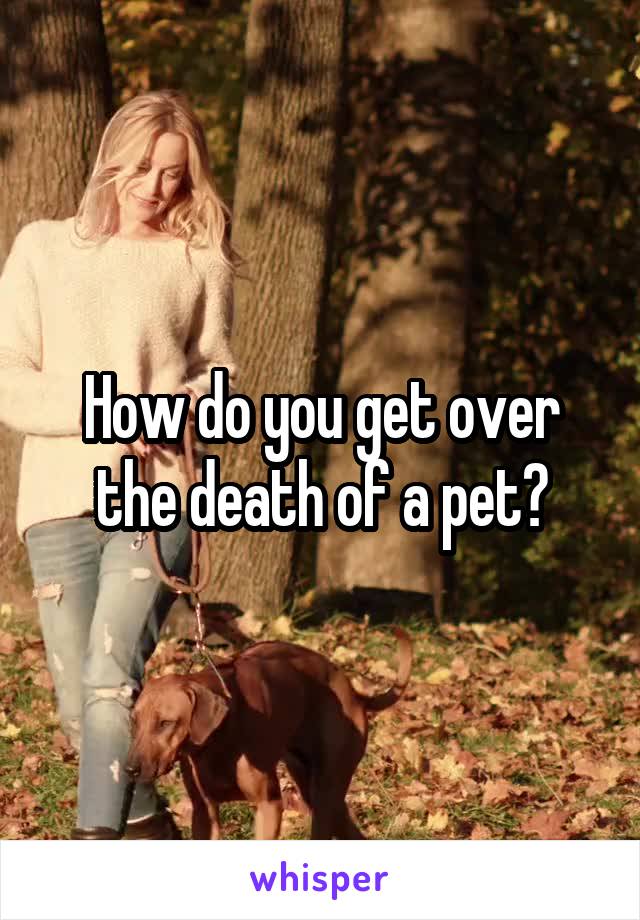 how-do-you-get-over-the-death-of-a-pet