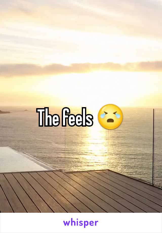 The feels 😭