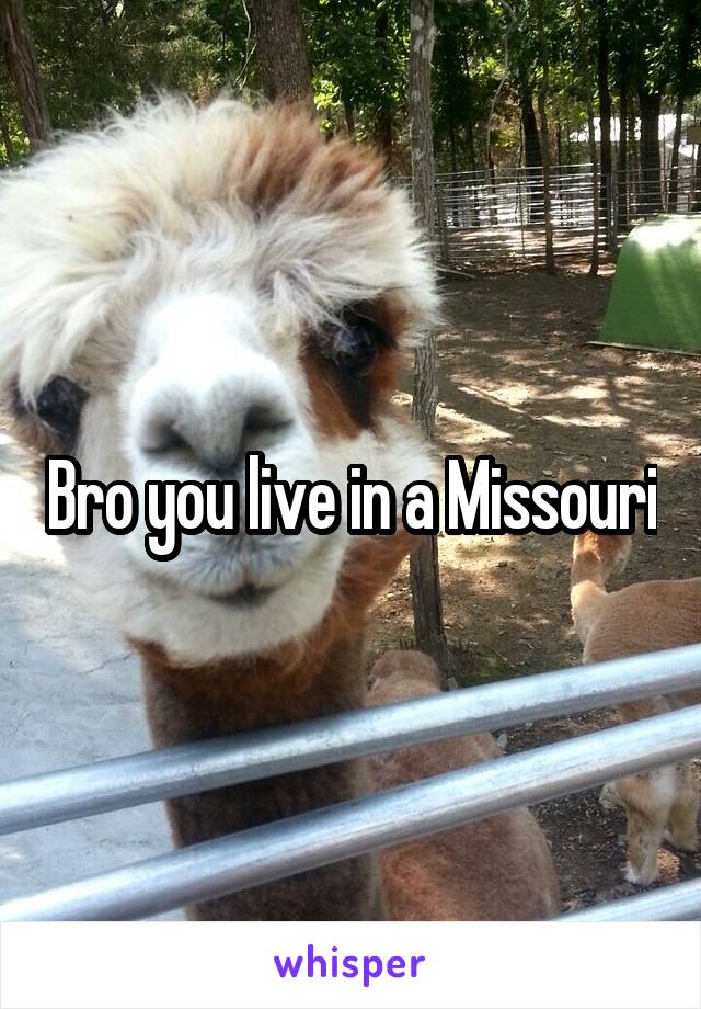 Bro you live in a Missouri