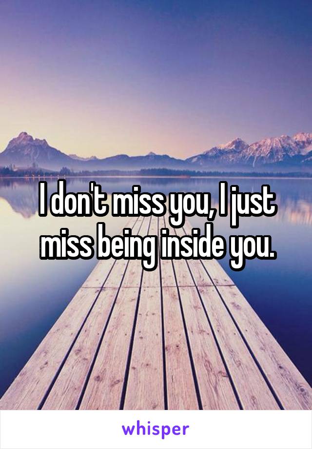 I don't miss you, I just miss being inside you.