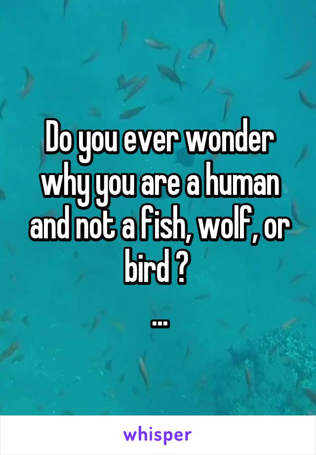 Do you ever wonder why you are a human and not a fish, wolf, or bird ? 
...