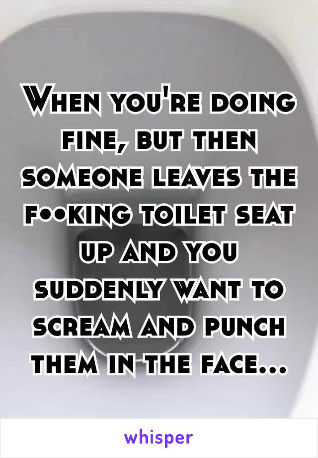 When you're doing fine, but then someone leaves the f••king toilet seat up and you suddenly want to scream and punch them in the face...