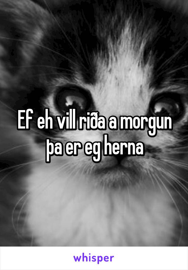 Ef eh vill riða a morgun þa er eg herna